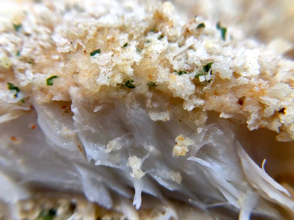 Close up of fish topped with breadcrumbs