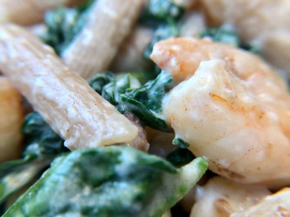 Closeup of creamy shrimp and whole wheat pasta