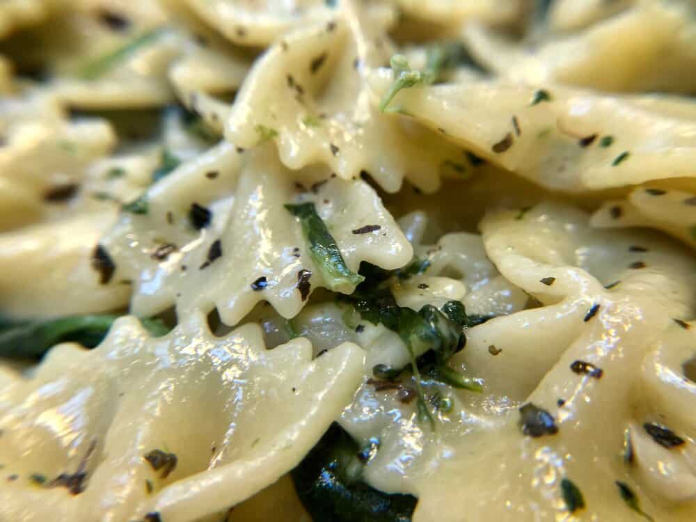 Close up of creamy pasta with spinach