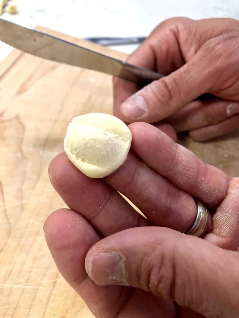 fresh orecchiette